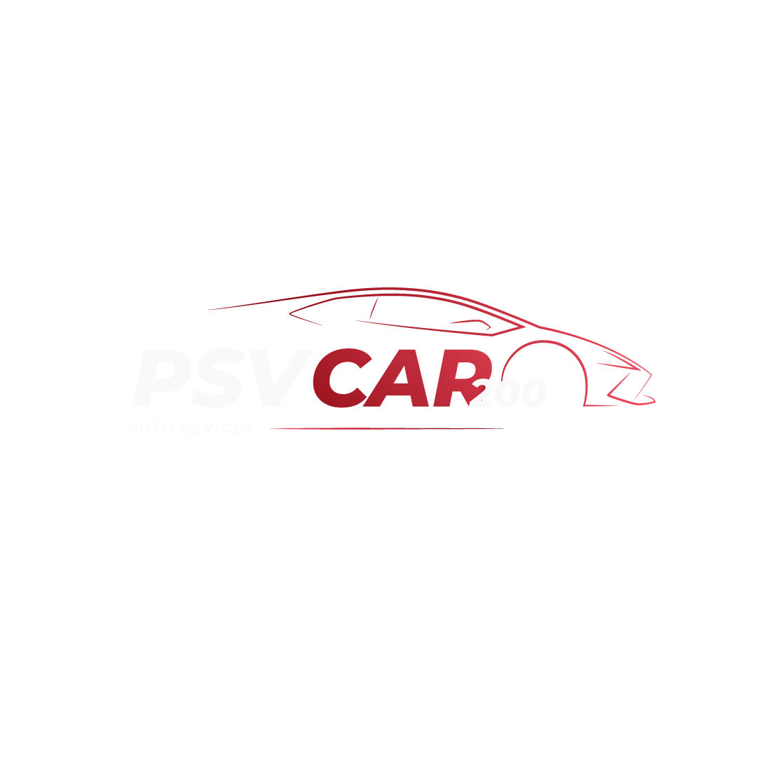 PSVCar 200 Logo